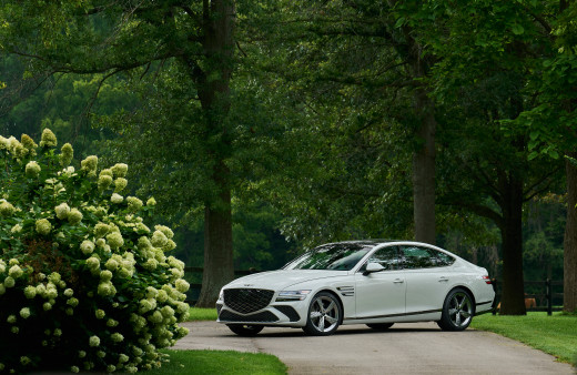 �1763103 �������(a): ����������:4000x2600